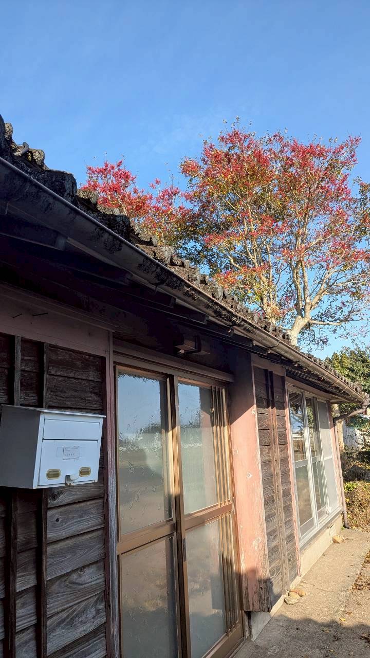 村おこしボランティア【川南町コース】での活動の様子