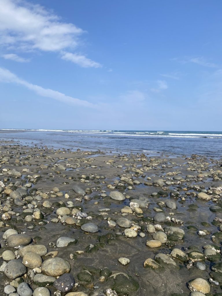 村おこしボランティア【川南町コース】での活動の様子