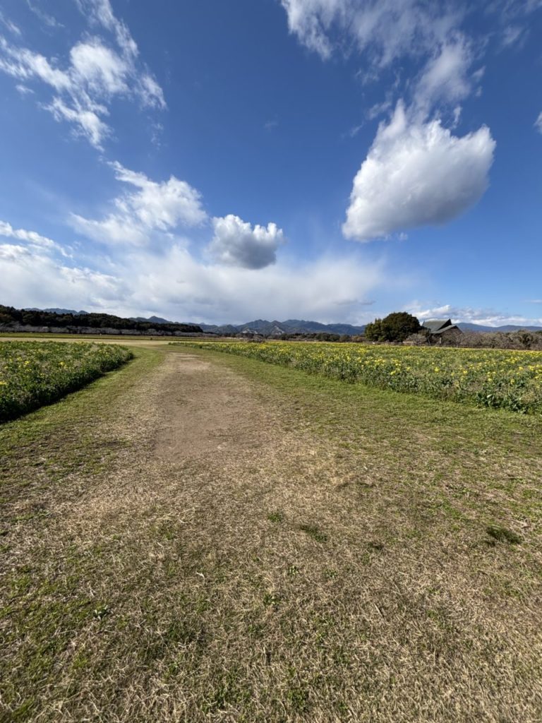 村おこしボランティア【川南町コース】での活動の様子