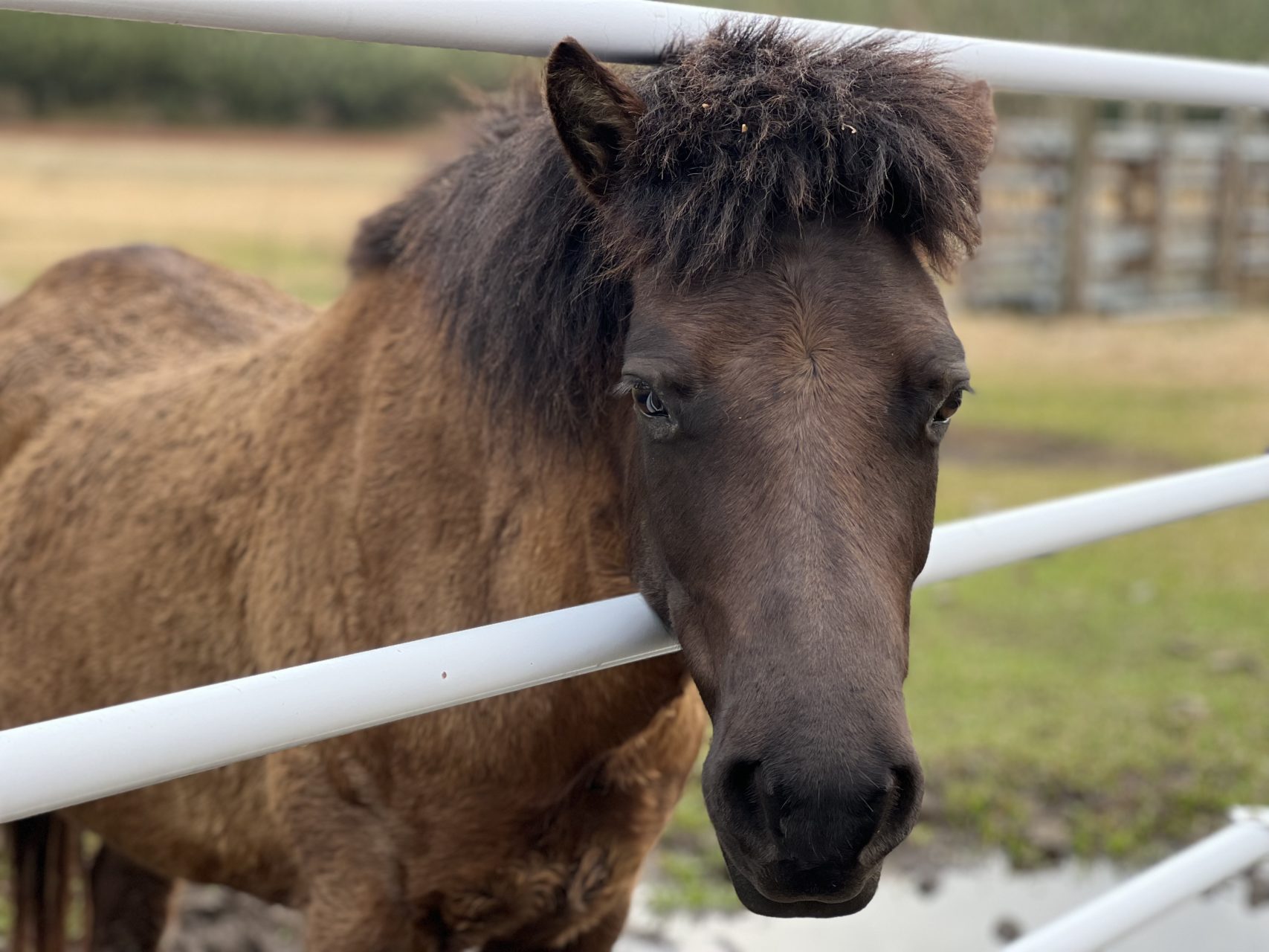 村おこしボランティア【中之島コース】での活動の様子