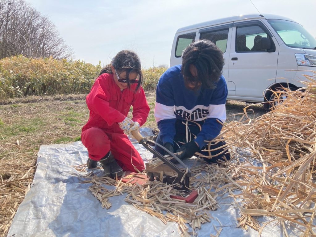 村おこしボランティア【奥尻島コース】での活動の様子