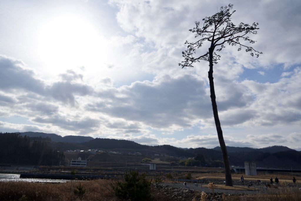 村おこしボランティア【三陸漁場コース】での活動の様子