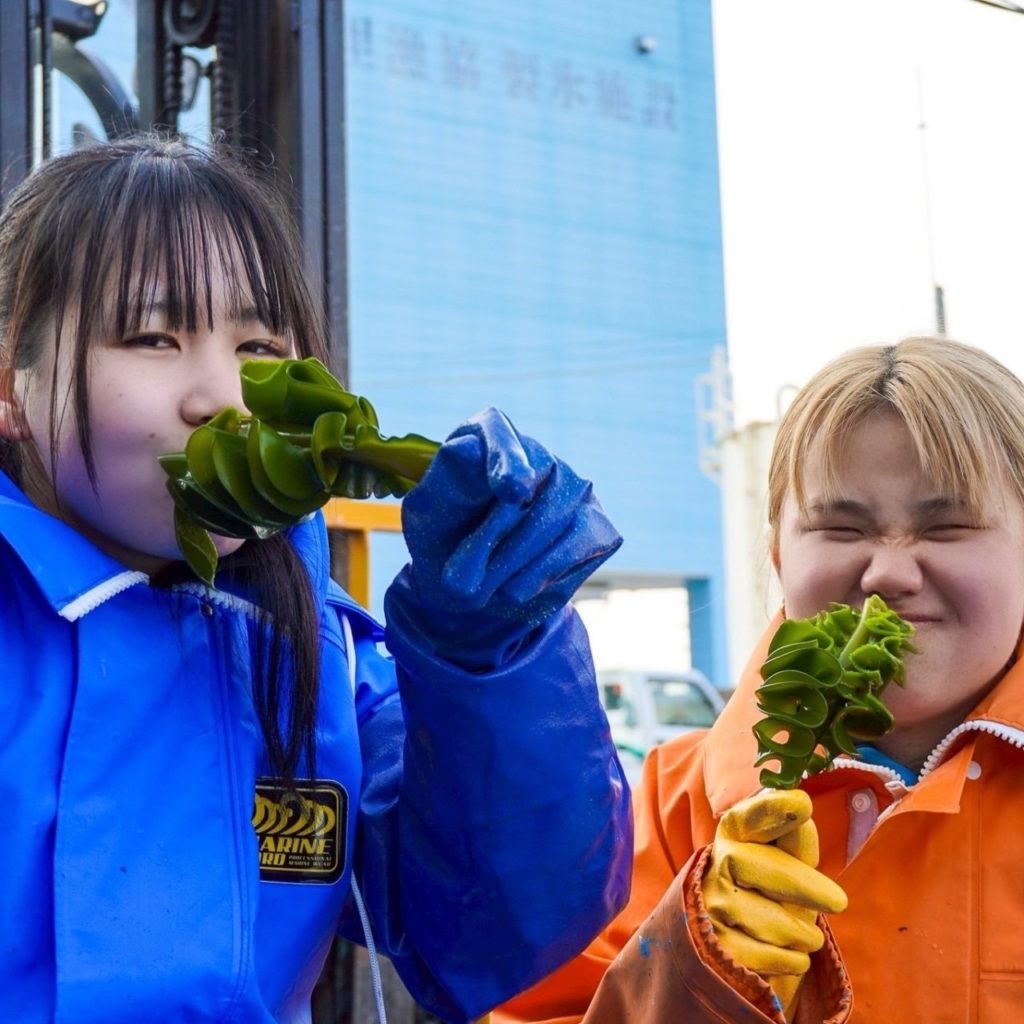 村おこしボランティア【三陸漁場コース】での活動の様子