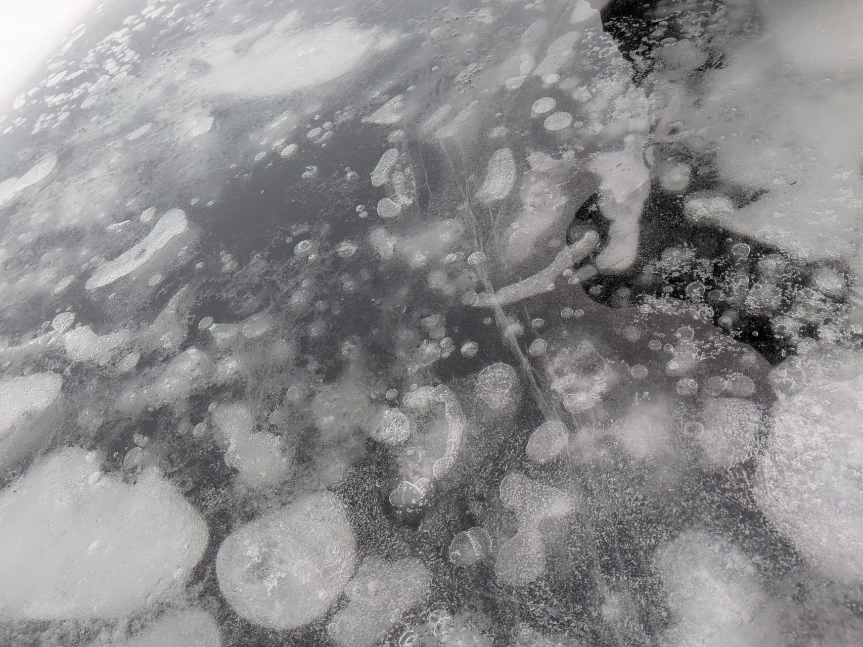 村おこしボランティア【然別湖コタンコース】での活動の様子