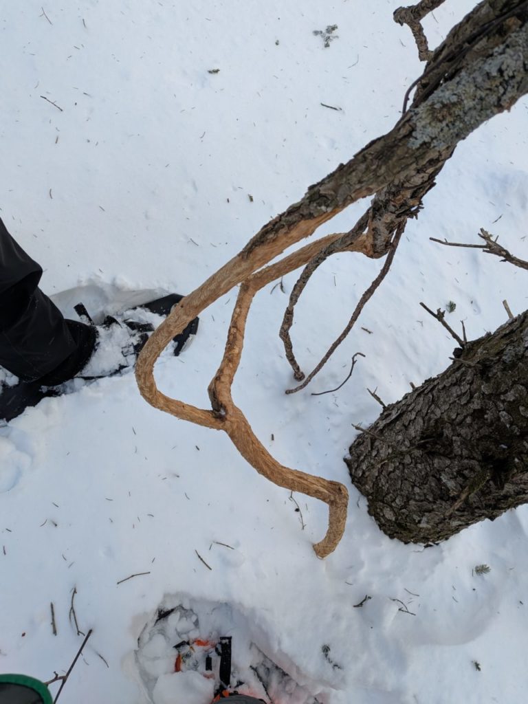 村おこしボランティア【然別湖コタンコース】での活動の様子