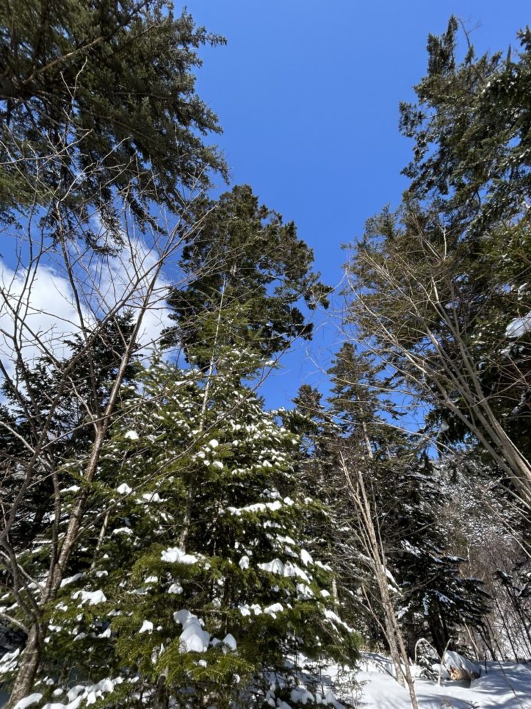 村おこしボランティア【然別湖コタンコース】での活動の様子