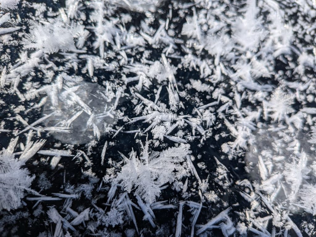 村おこしボランティア【然別湖コタンコース】での活動の様子