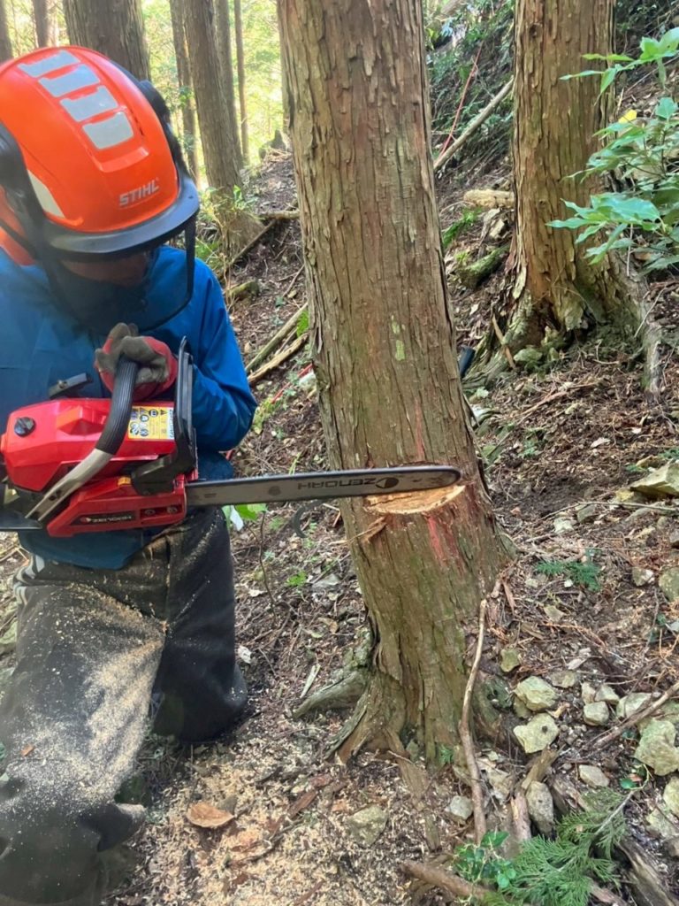村おこしボランティア【四万十川・林業コース】での活動の様子