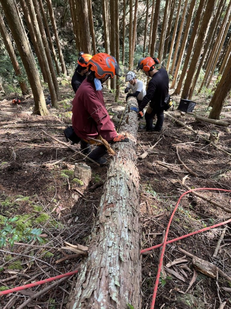 村おこしボランティア【四万十川・林業コース】での活動の様子