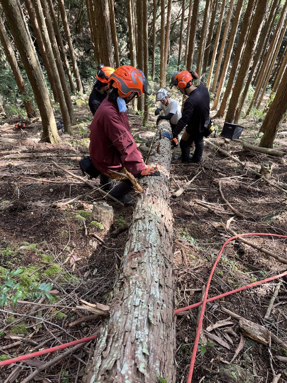 村おこしボランティア【四万十川・林業コース】での活動の様子