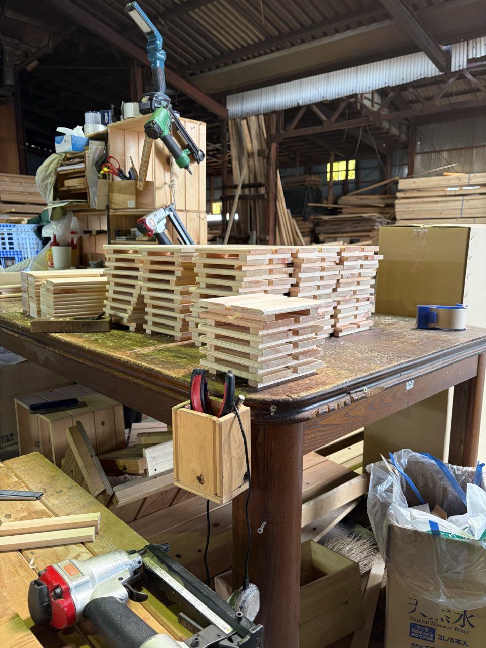 村おこしボランティア【四万十川・林業コース】での活動の様子