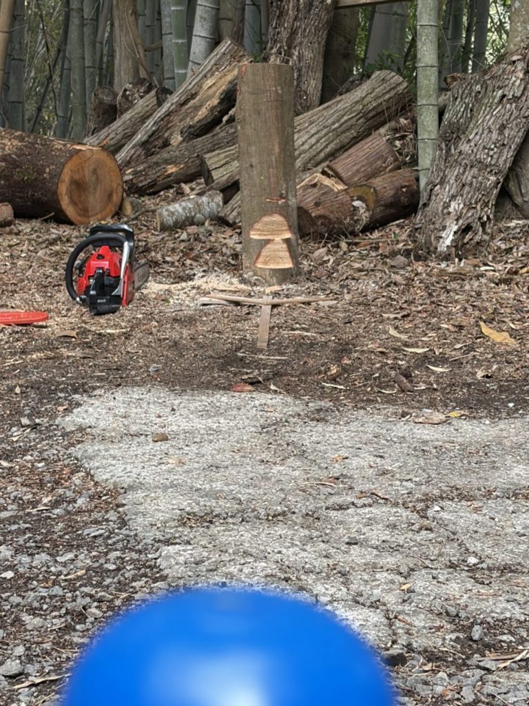 村おこしボランティア【四万十川・林業コース】での活動の様子