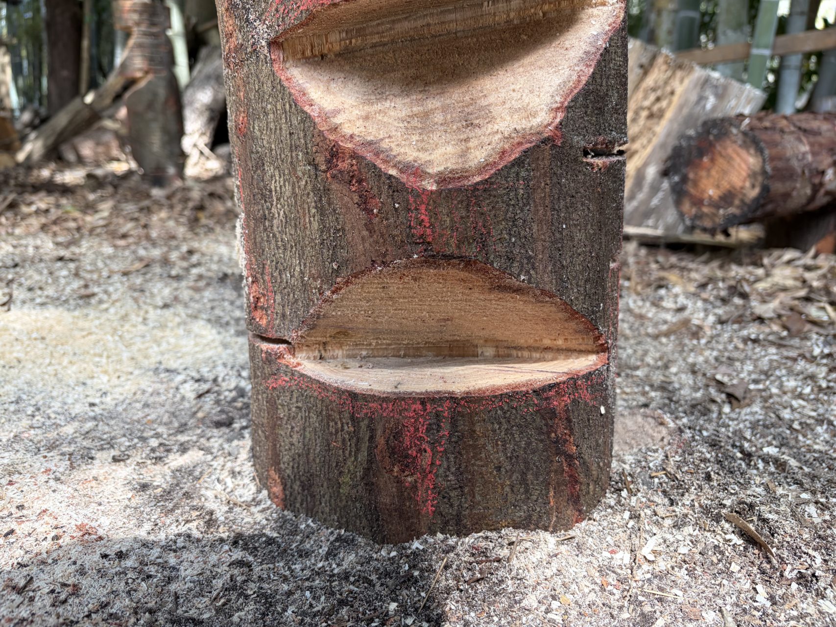 村おこしボランティア【四万十川・林業コース】での活動の様子