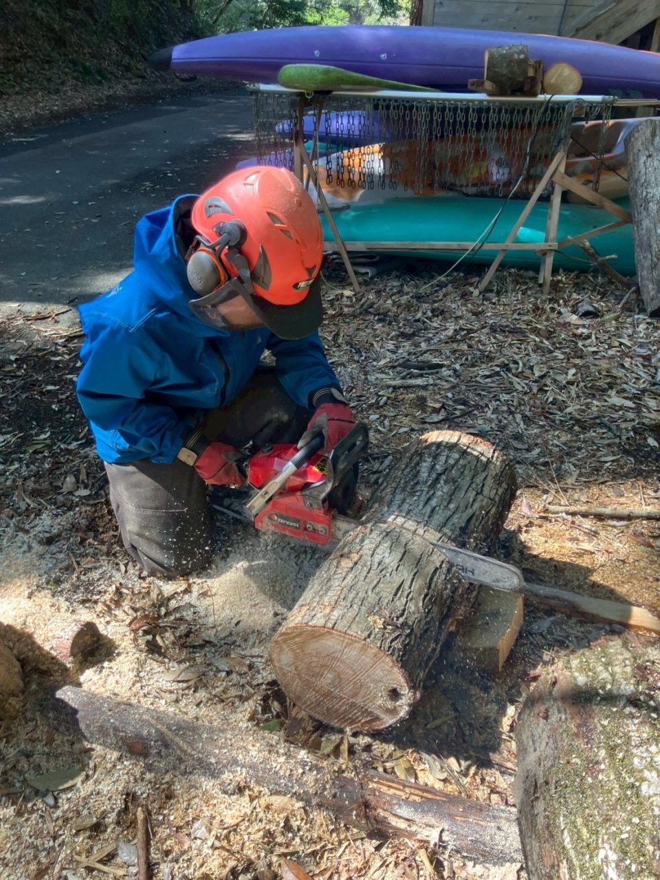 村おこしボランティア【四万十川・林業コース】での活動の様子