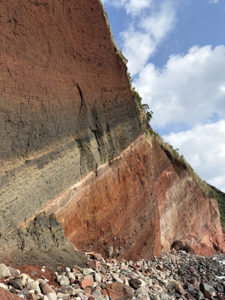 村おこしボランティア【さつま竹島コース】での活動の様子