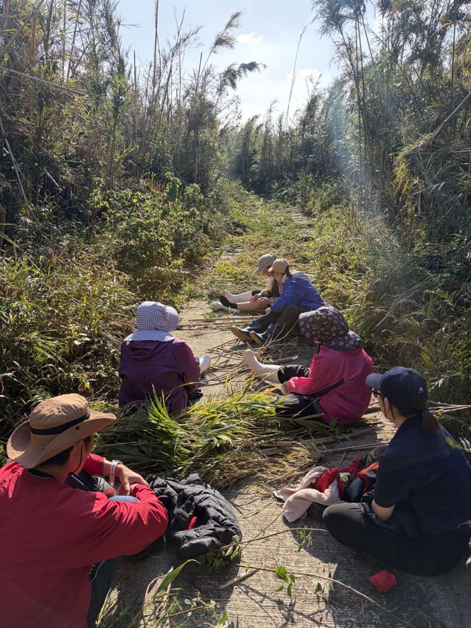 村おこしボランティア【さつま竹島コース】での活動の様子