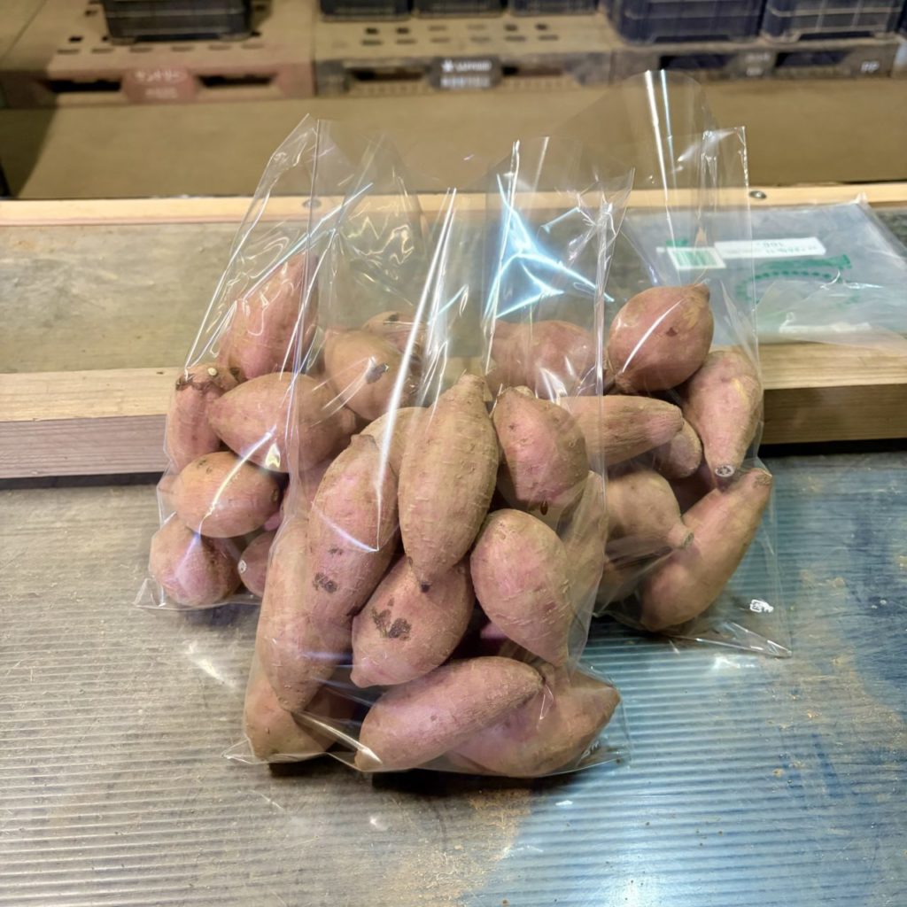 村おこしボランティア【種子島コース】での活動の様子