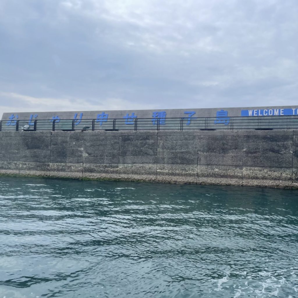 村おこしボランティア【種子島コース】での活動の様子