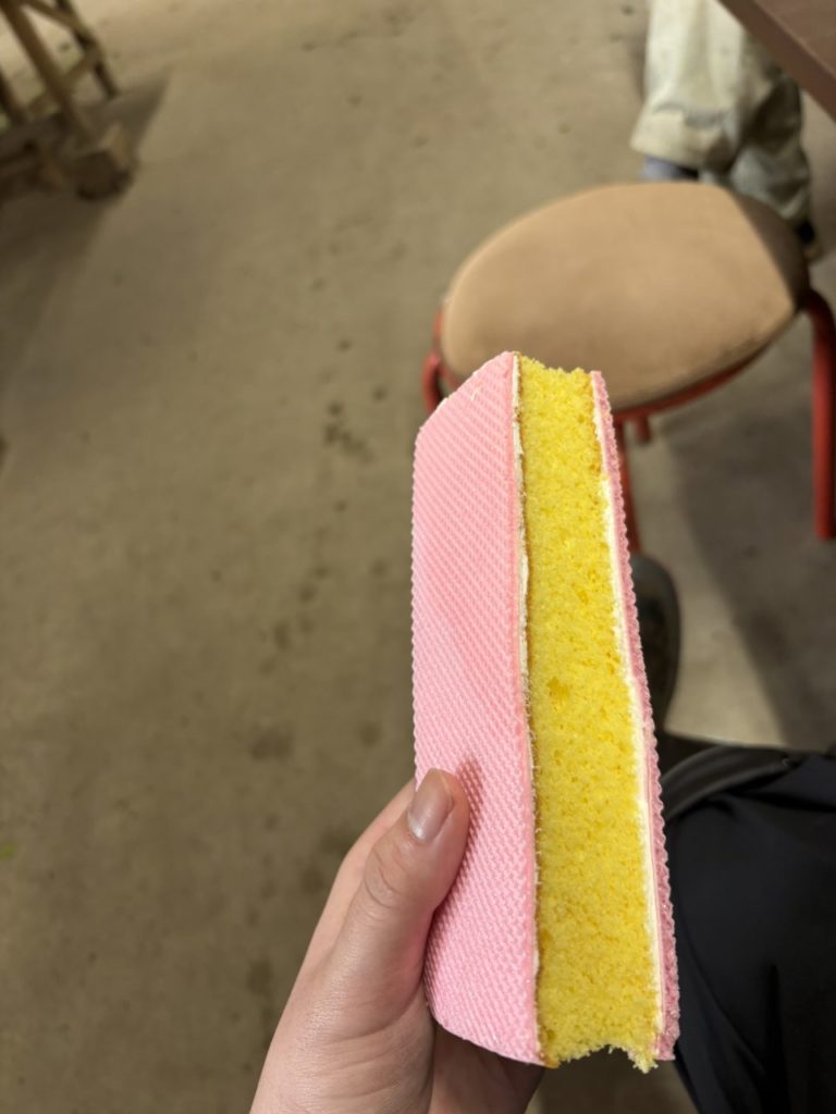 村おこしボランティア【種子島コース】での活動の様子