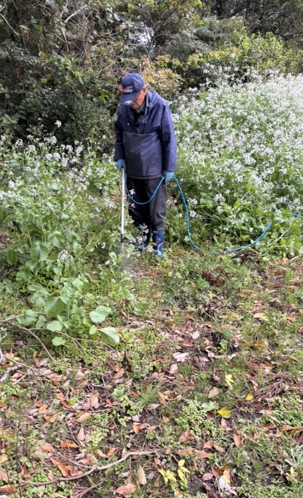 村おこしボランティア【種子島コース】での活動の様子