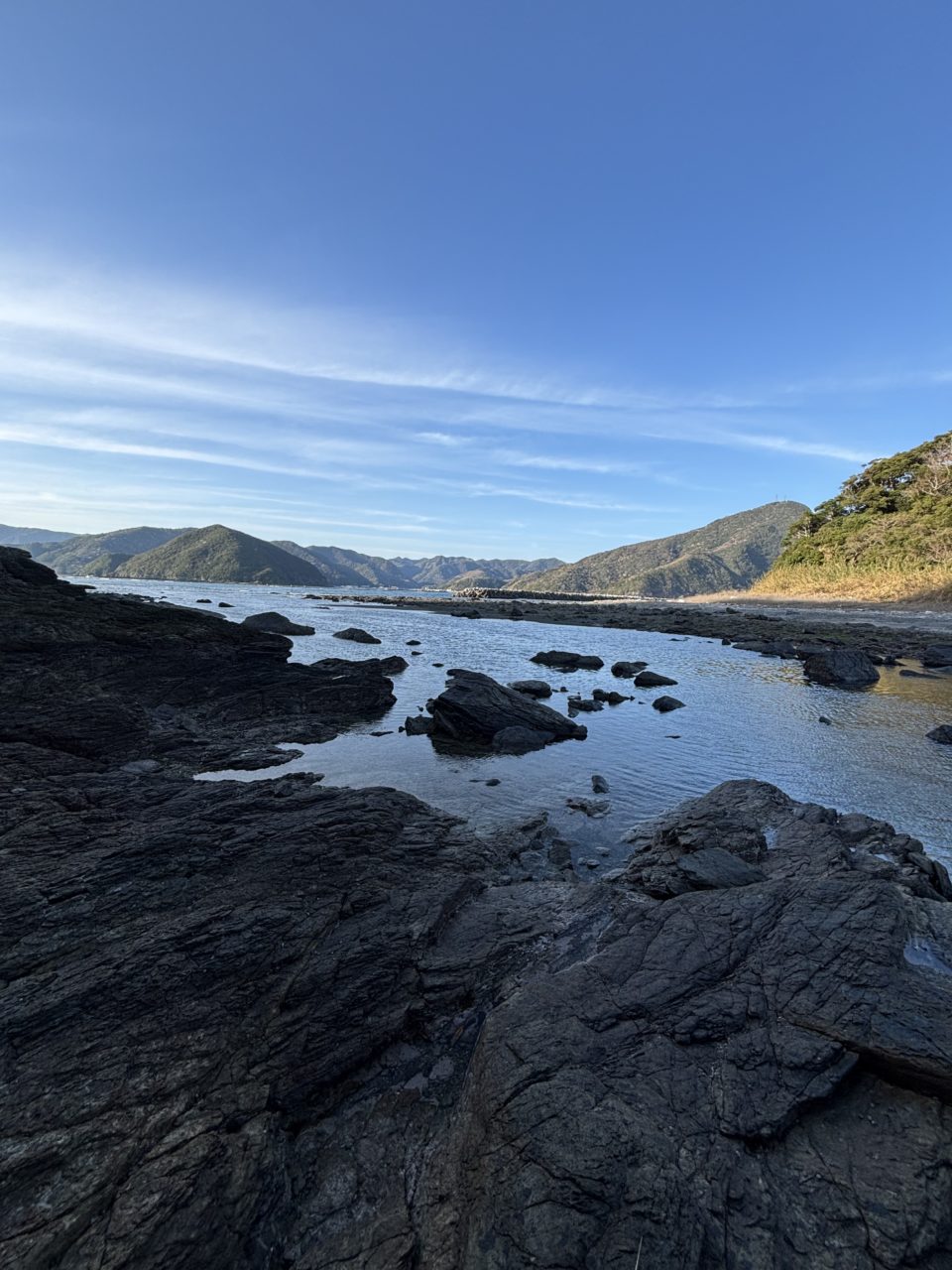 村おこしボランティア【屋形島コース】での活動の様子