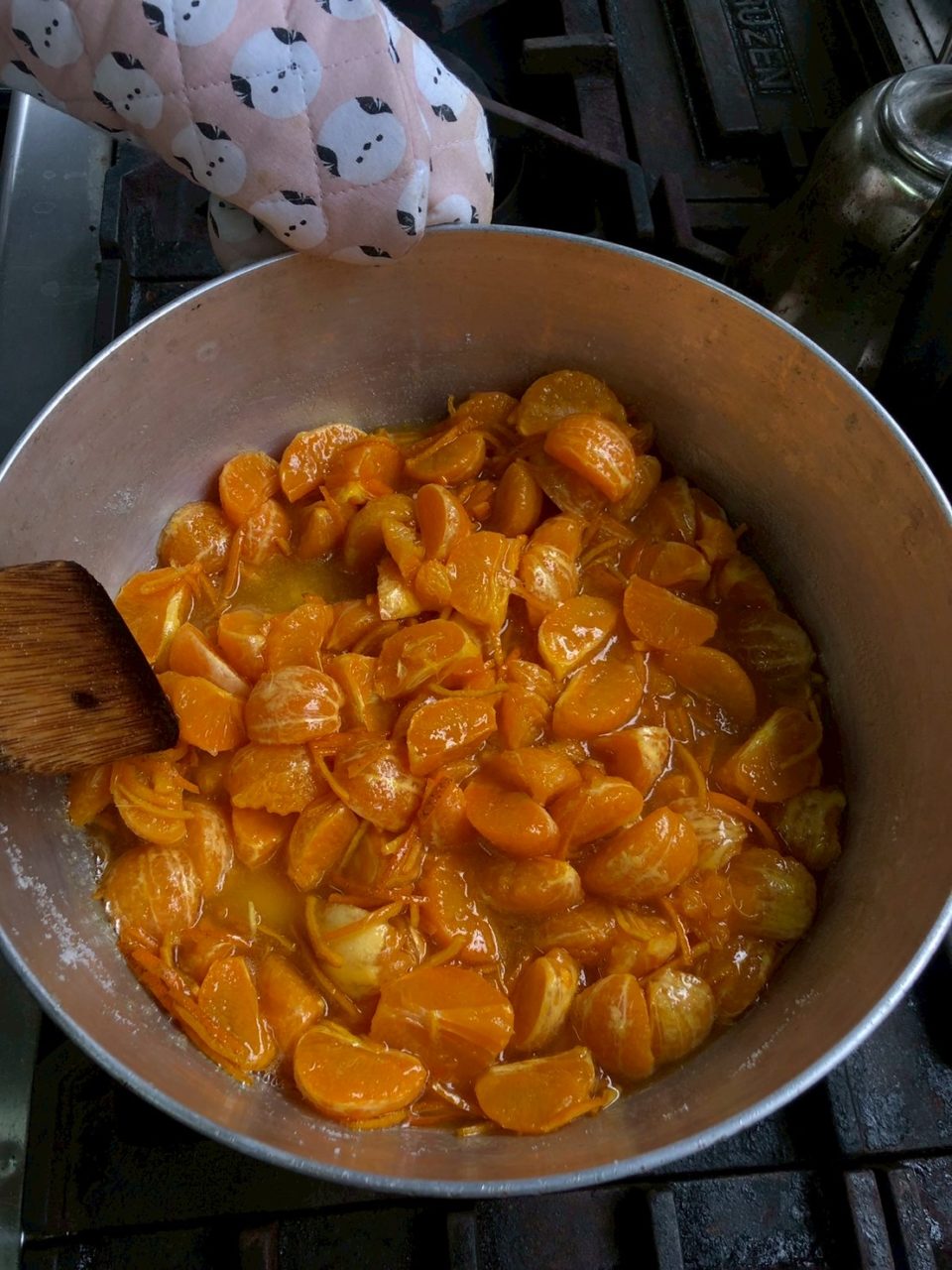 村おこしボランティア【屋久島コース】での活動の様子