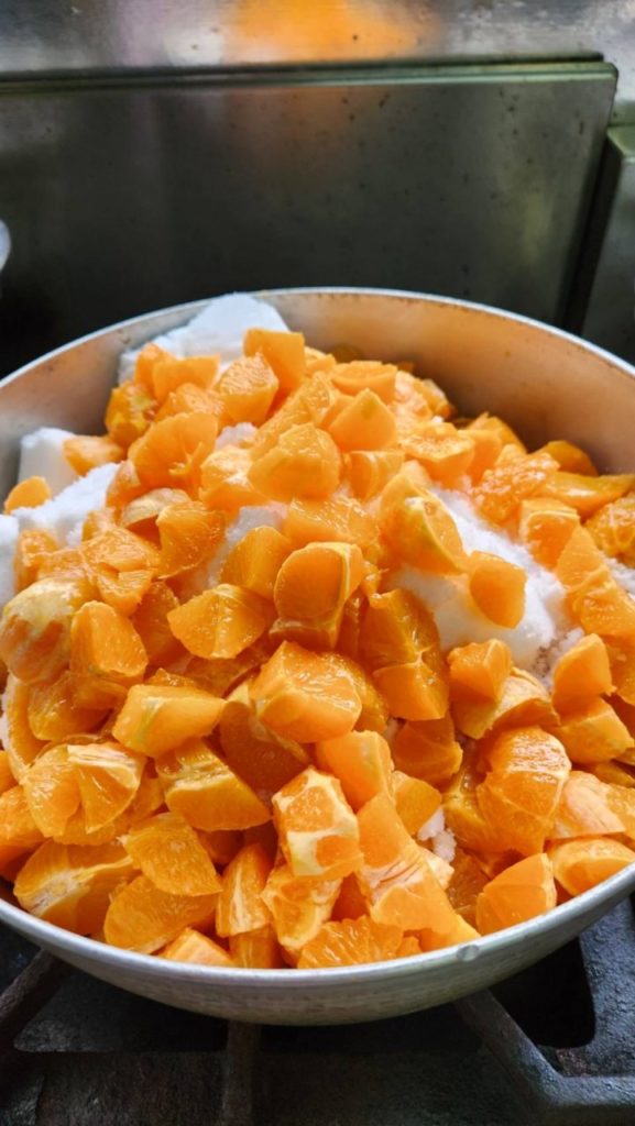 村おこしボランティア【屋久島コース】での活動の様子