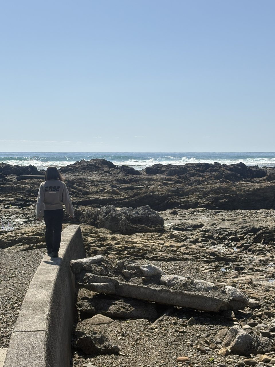 村おこしボランティア【屋久島コース】での活動の様子