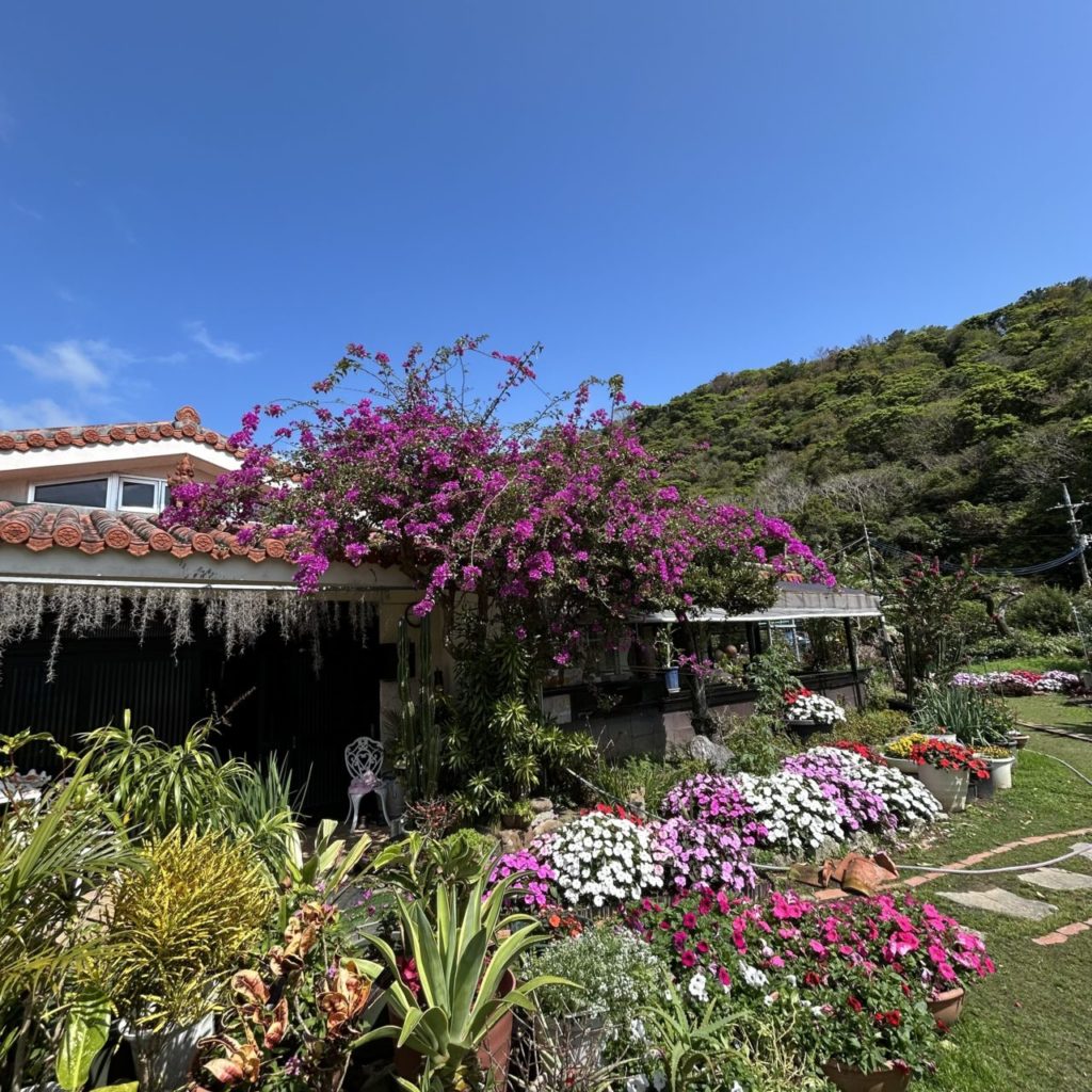 村おこしボランティア【沖縄やんばるコース】での活動の様子