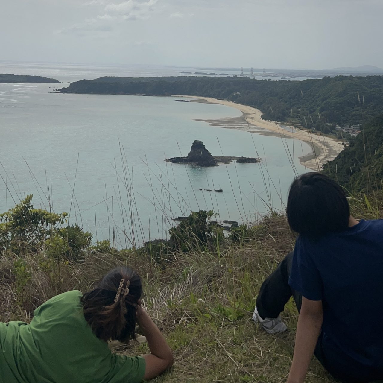村おこしボランティア【沖縄やんばるコース】での活動の様子
