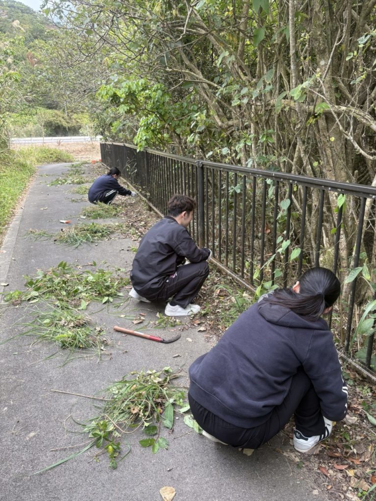 村おこしボランティア【沖縄やんばるコース】での活動の様子