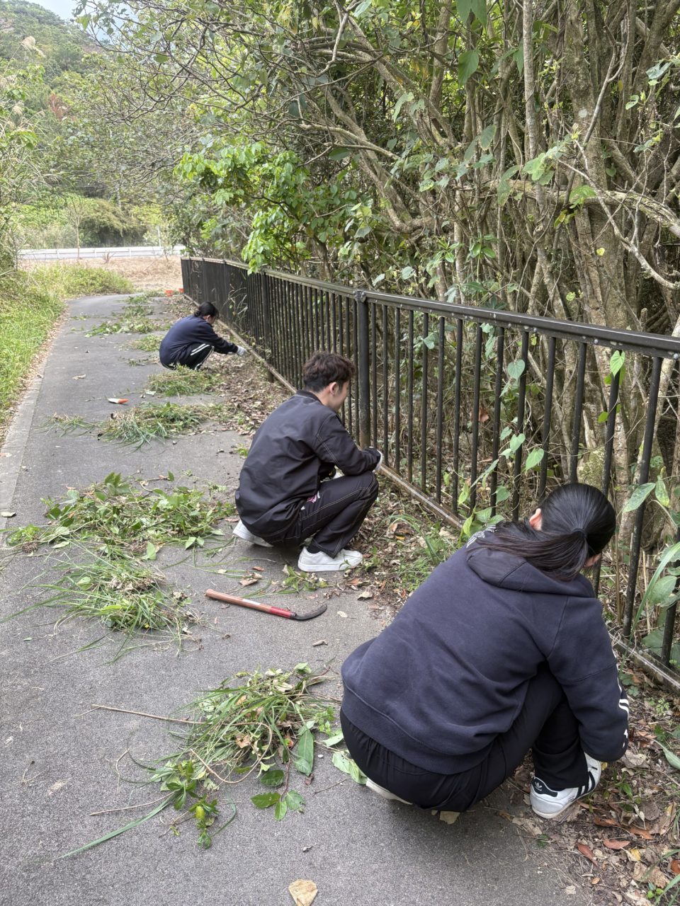 村おこしボランティア【沖縄やんばるコース】での活動の様子
