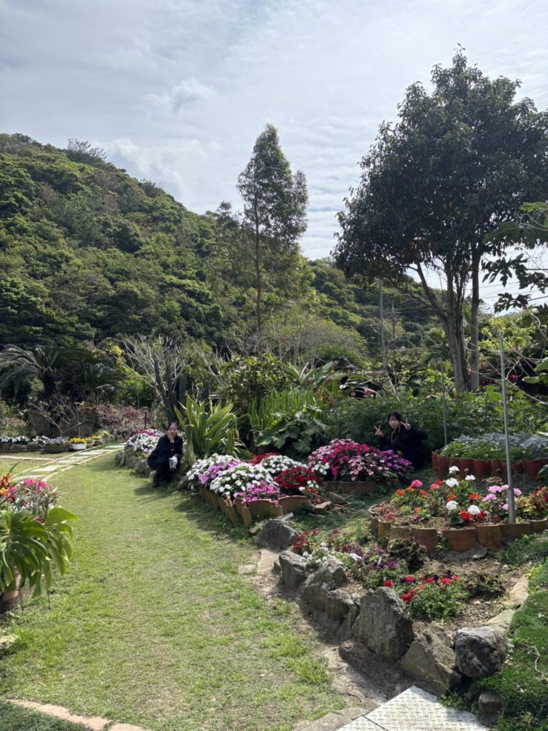 村おこしボランティア【沖縄やんばるコース】での活動の様子