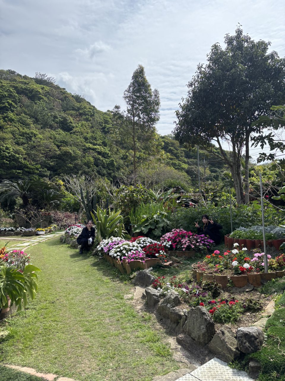 村おこしボランティア【沖縄やんばるコース】での活動の様子