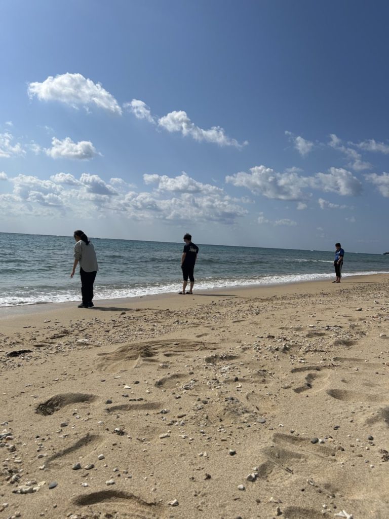 村おこしボランティア【沖縄やんばるコース】での活動の様子