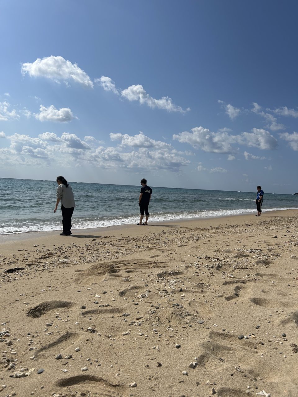 村おこしボランティア【沖縄やんばるコース】での活動の様子