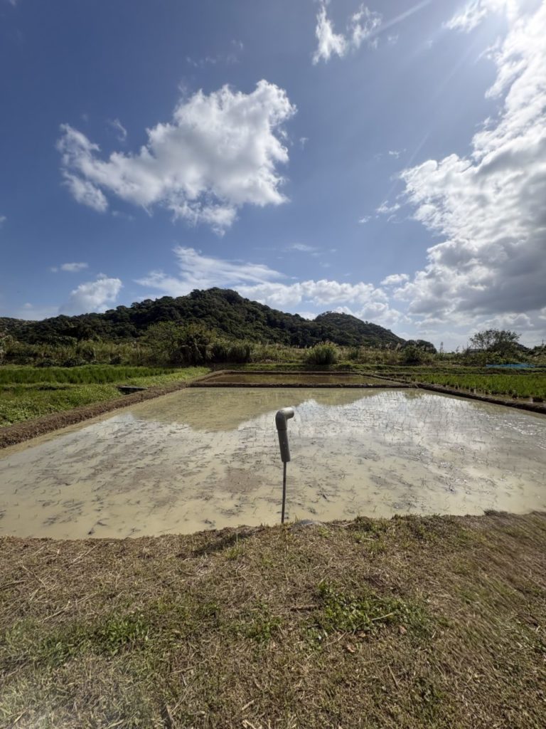 村おこしボランティア【沖縄やんばるコース】での活動の様子