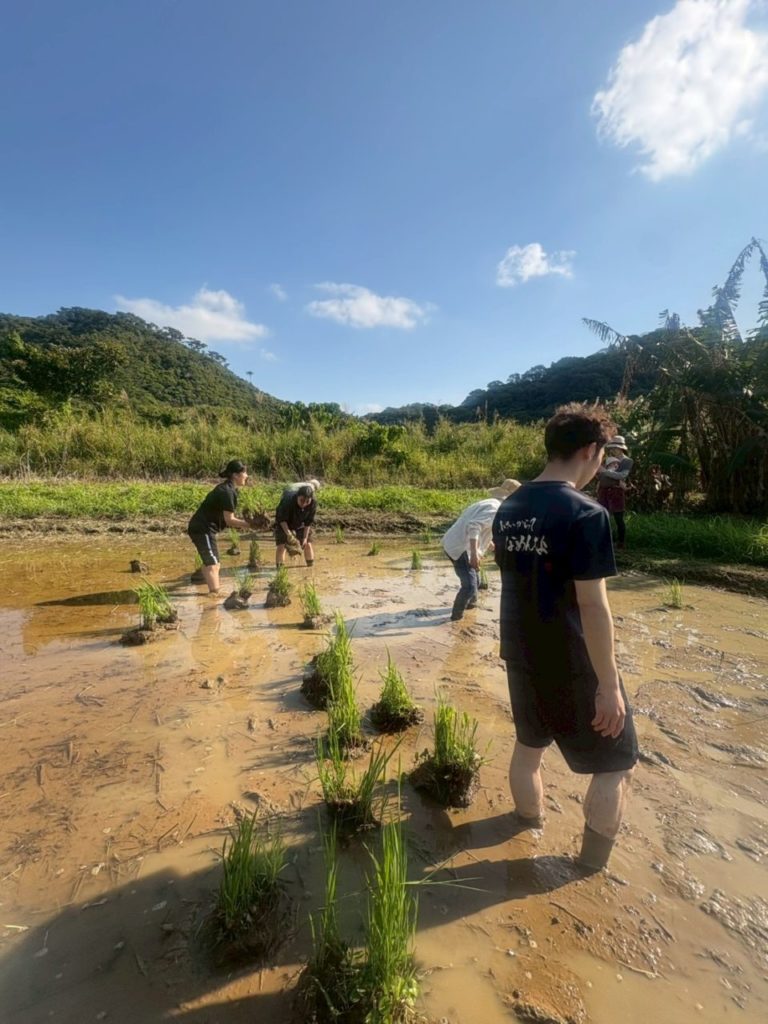 村おこしボランティア【沖縄やんばるコース】での活動の様子