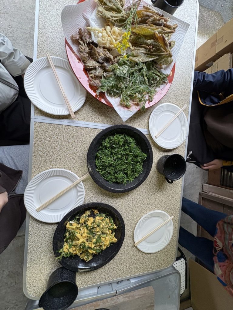 村おこしボランティア【黒潮町コース】での活動の様子