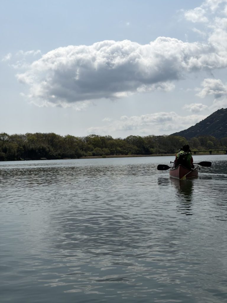 村おこしボランティア【黒潮町コース】での活動の様子
