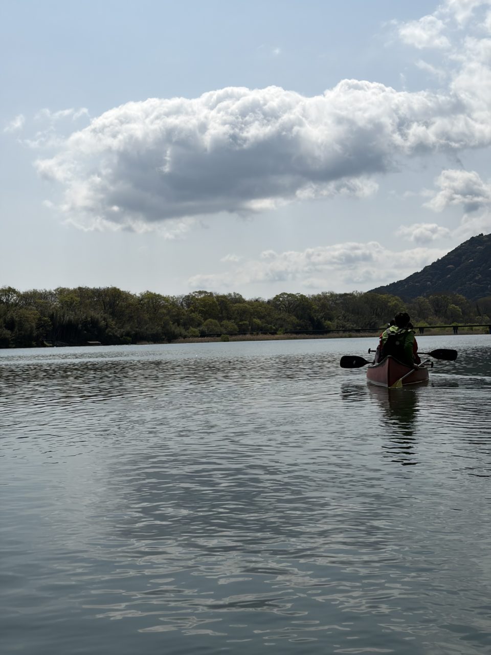 村おこしボランティア【黒潮町コース】での活動の様子