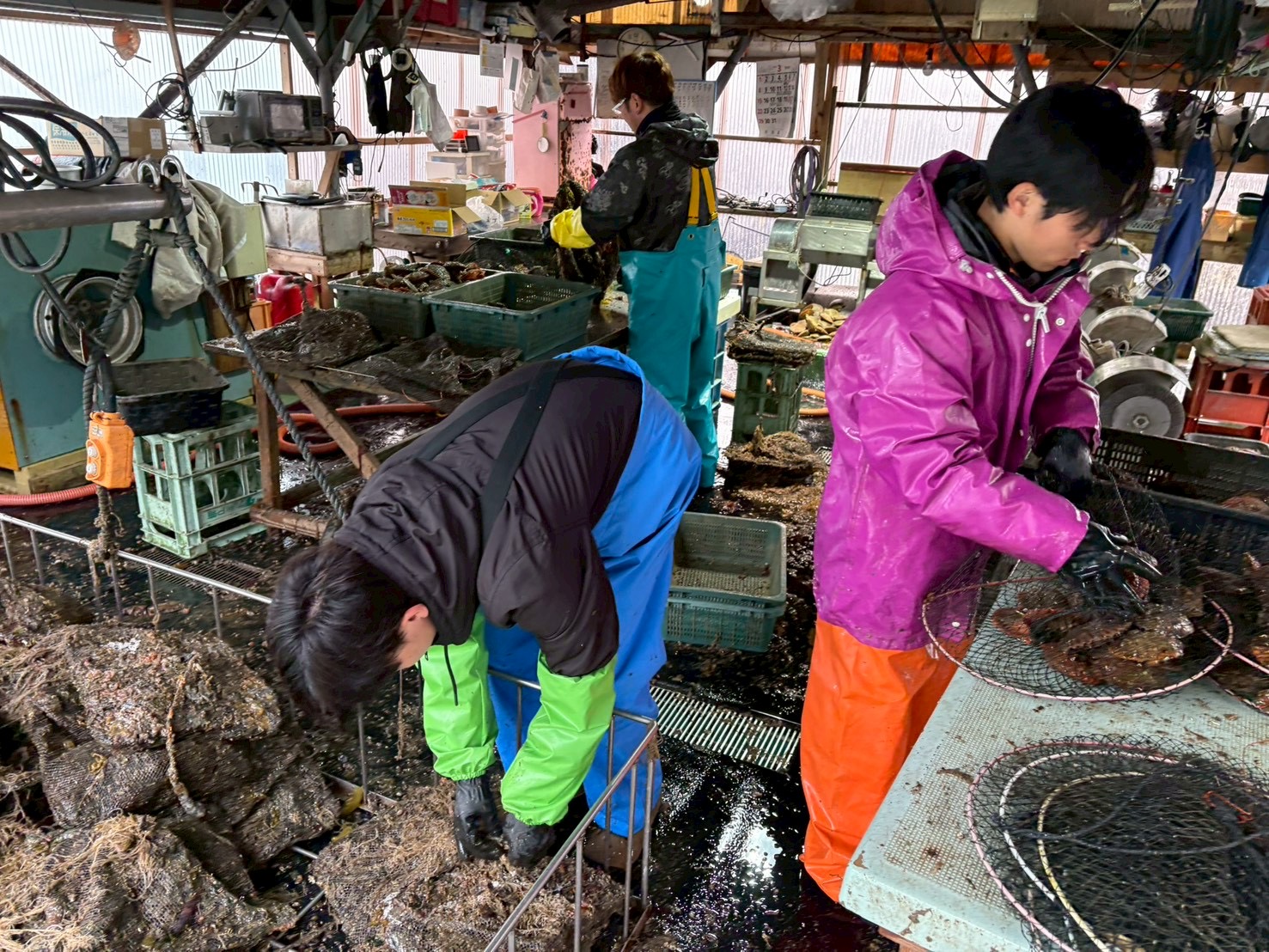 村おこしボランティア【屋形島コース】での活動の様子