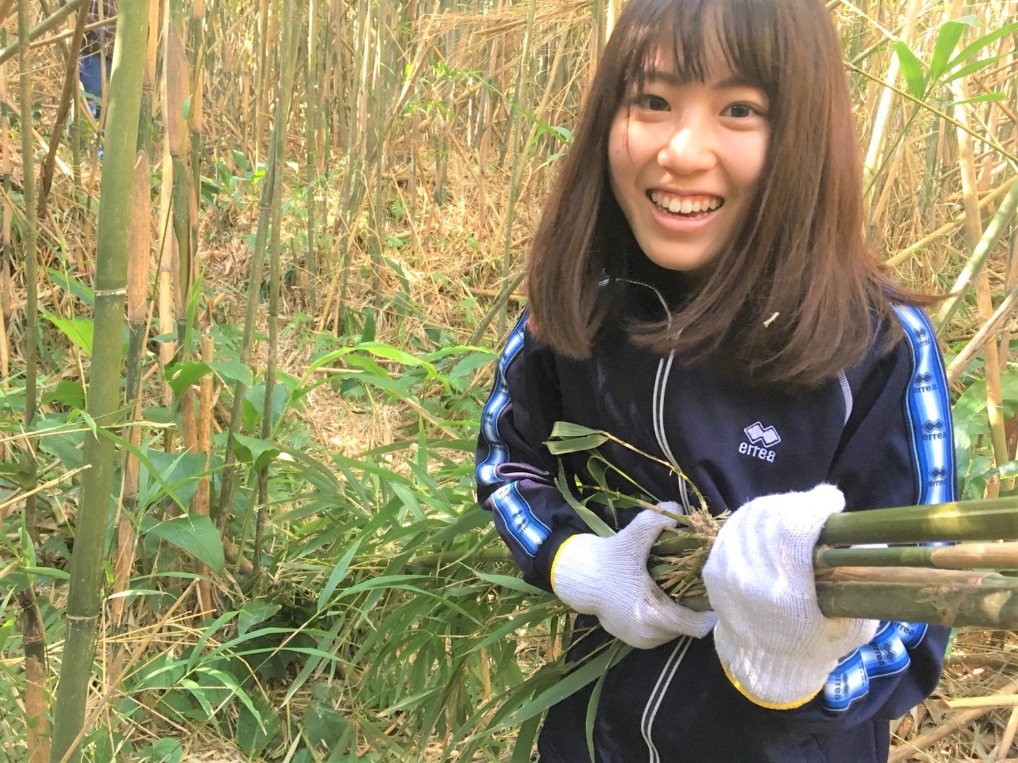 竹島での筍狩り